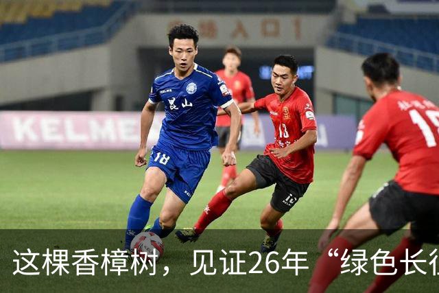这棵香樟树，见证26年“绿色长征”